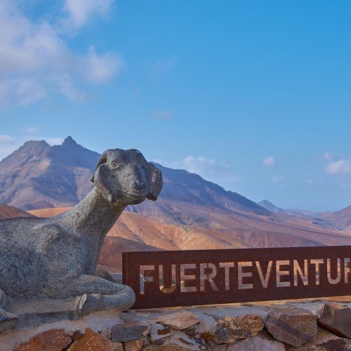 Fuertecabra