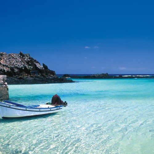 Puertito lobos