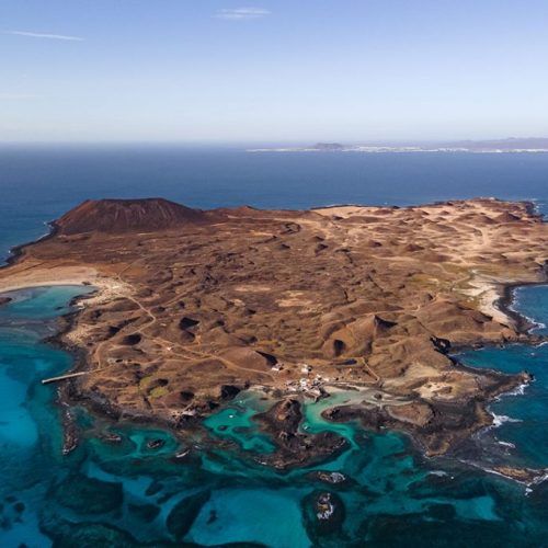 lobos-isla-1024×683
